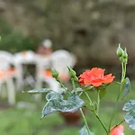 Rosalinda 4*