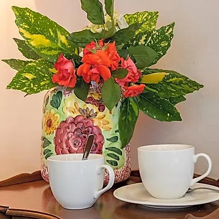 B&B Rosalinda
