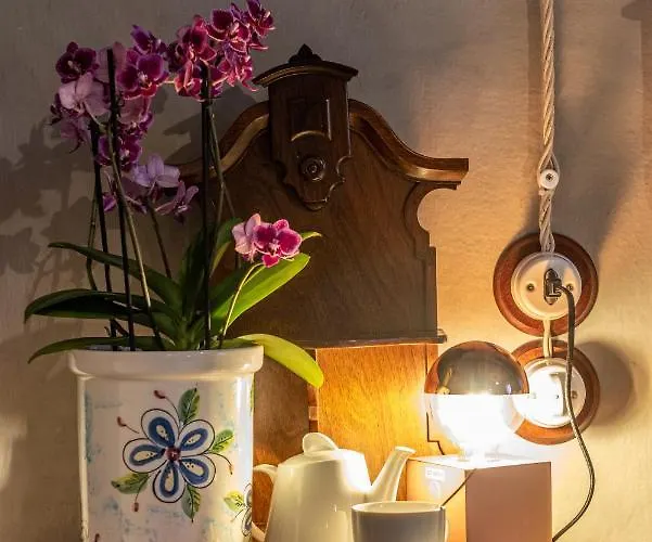 Rosalinda 4* דונגו