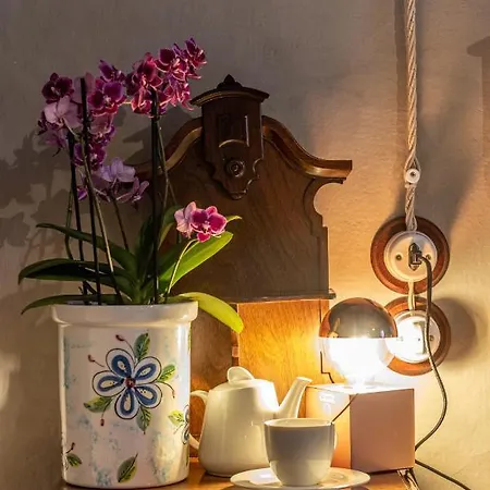 Rosalinda 4* ドンゴ